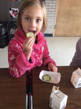 girl eating cucumber and hummus