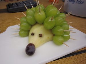 fruit porcupine