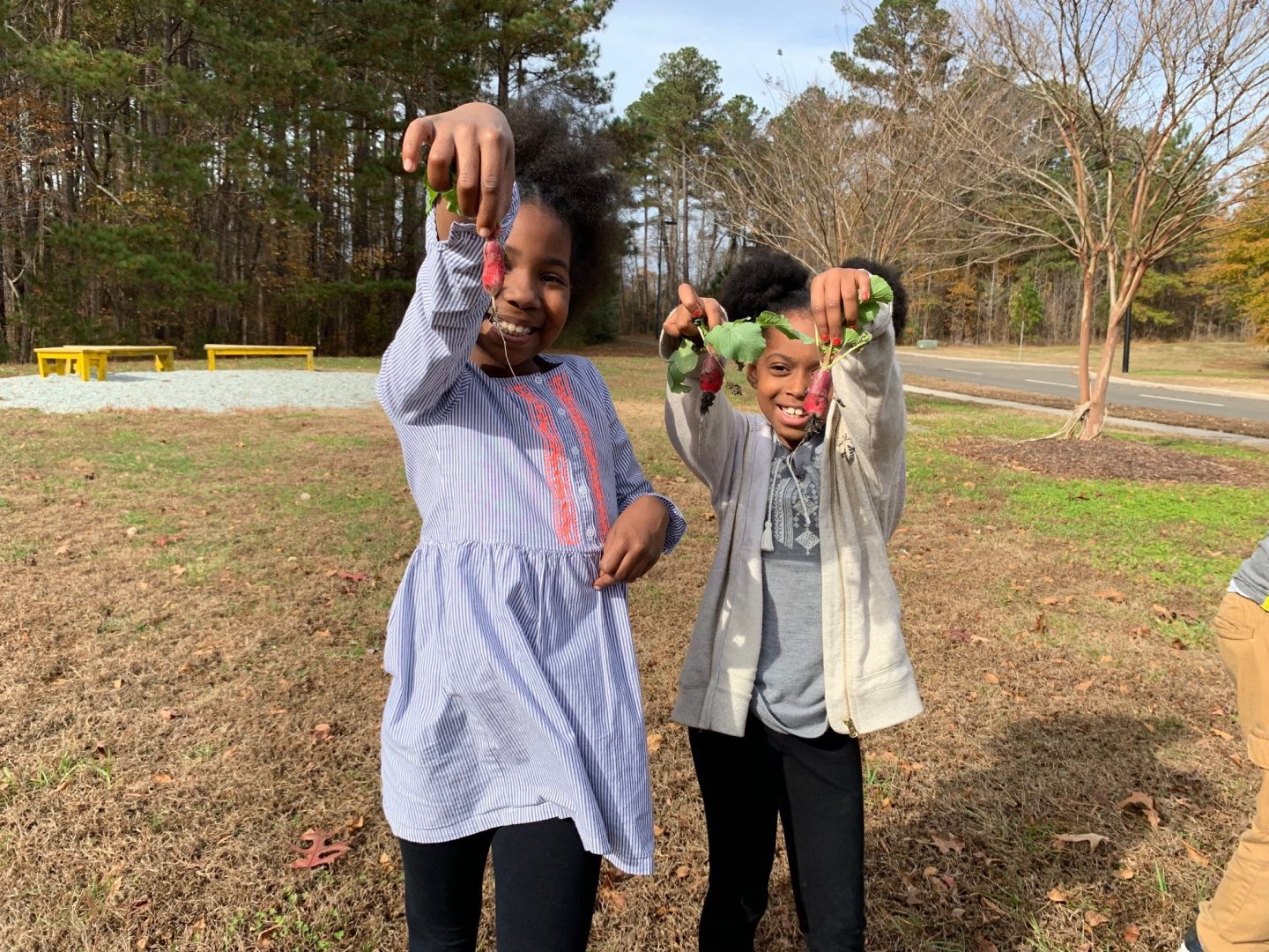 SPRING VALLEY ELEMENTARY SCH_DURHAM_NC_CSX Corporation_1232018_1657