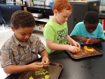 nutrition education projects