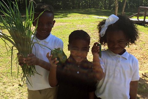 Kids Holding Vegetables in Garden