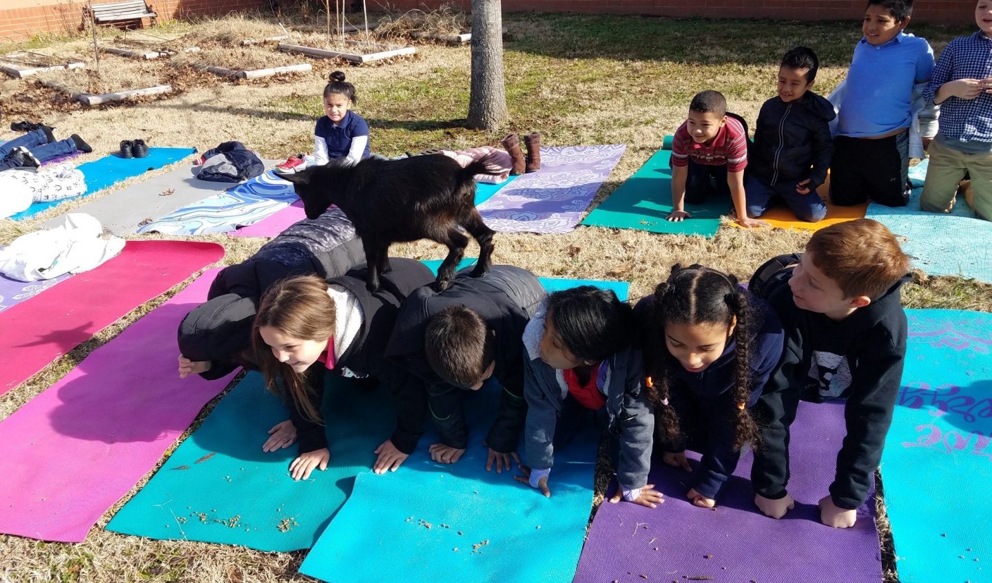 Hickman Elementary Metro Nashville Public Schools TN_12162019_6512