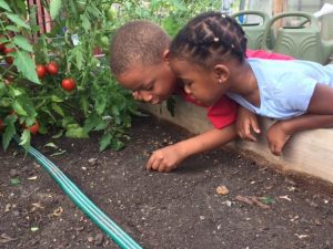 Two children in a garden.